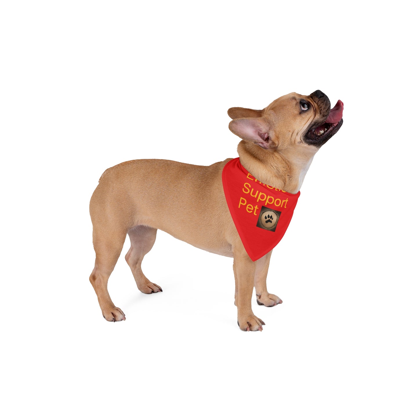 Emotional Support - Pet Bandana What gives you more comfort and love than our pups?